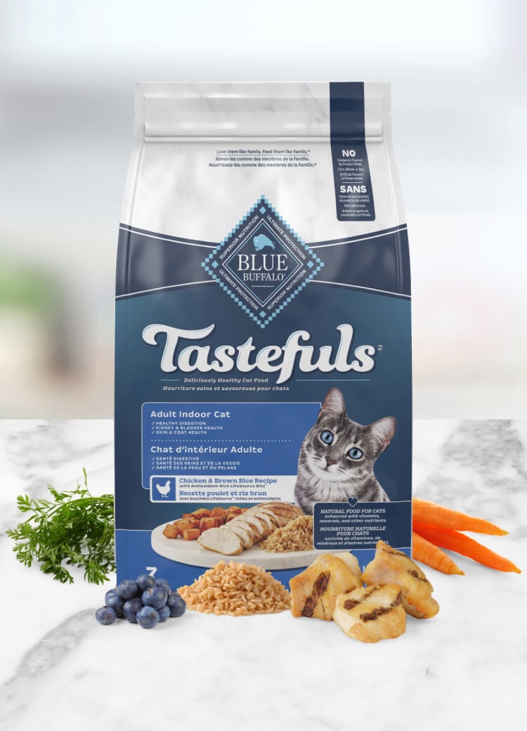 Blue Buffalo Tastefuls Dry Indoor Cat food