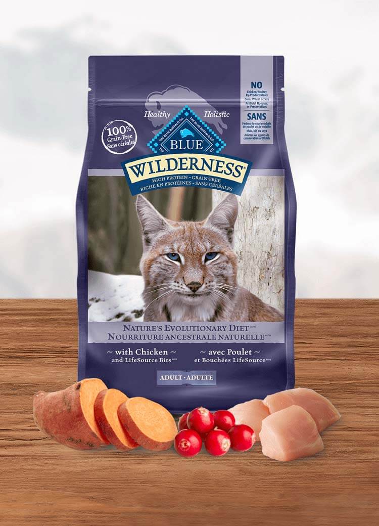 blue buffalo wilderness dry cat food