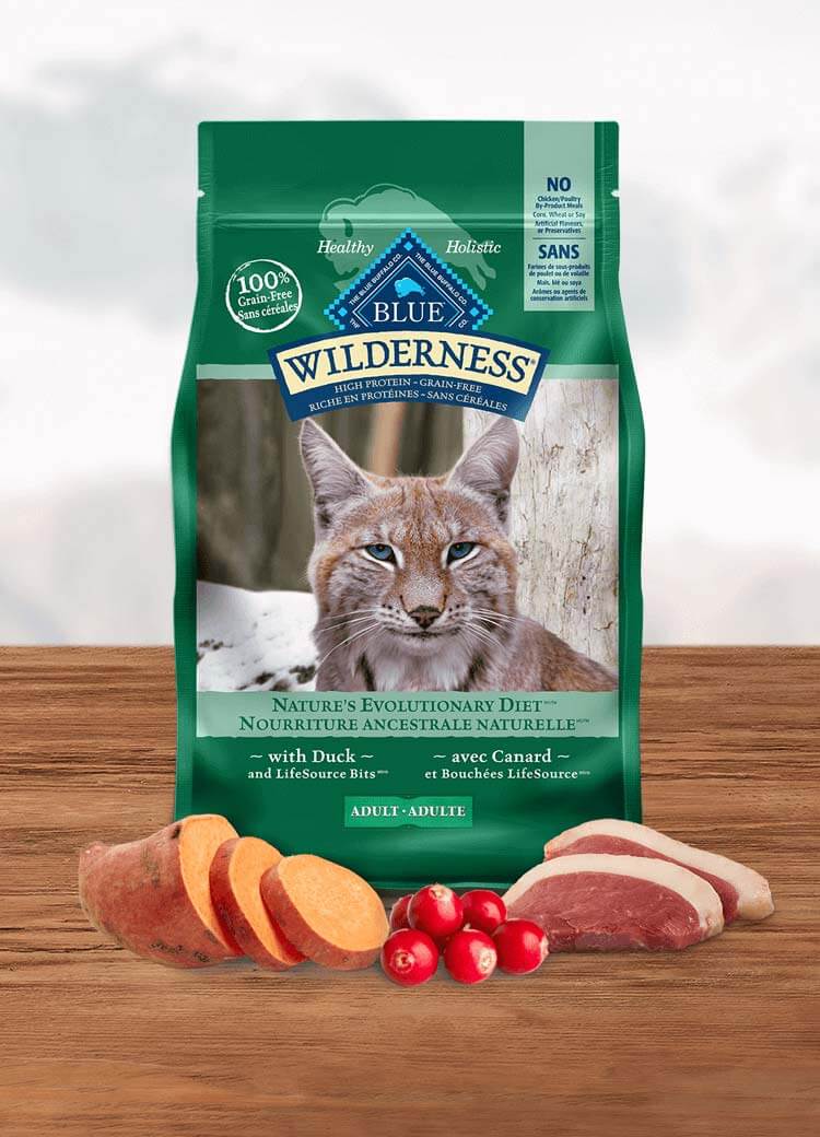 blue buffalo wilderness dry cat food