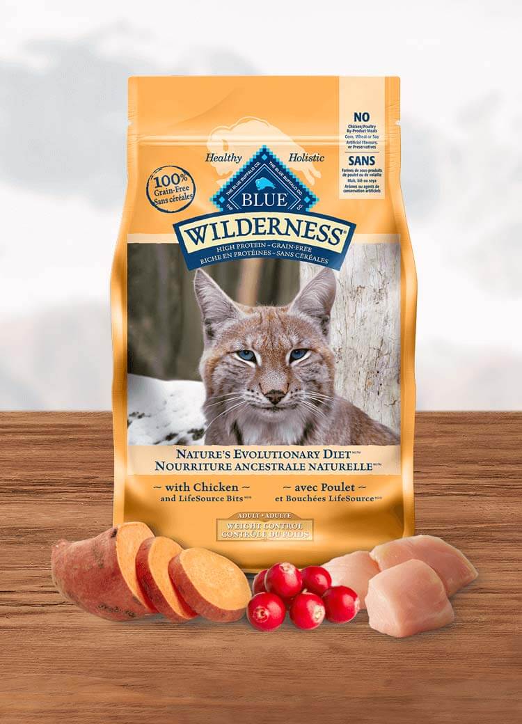 blue buffalo wilderness dry cat food
