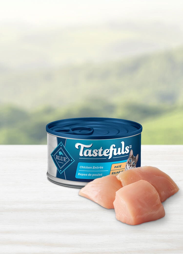 blue buffalo tastefuls cat food