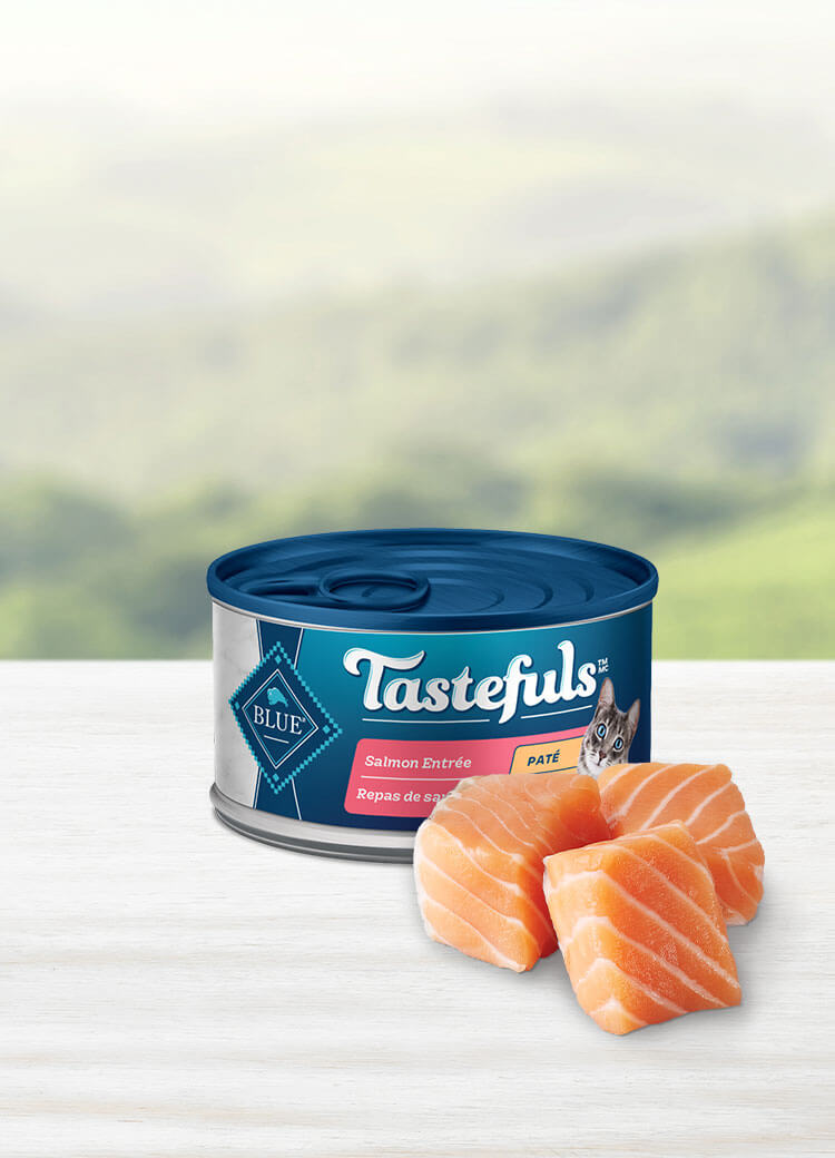 blue buffalo tastefuls cat food