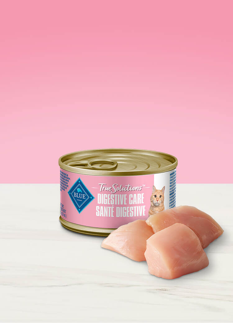 True soltusion wet cat digestive care canned food