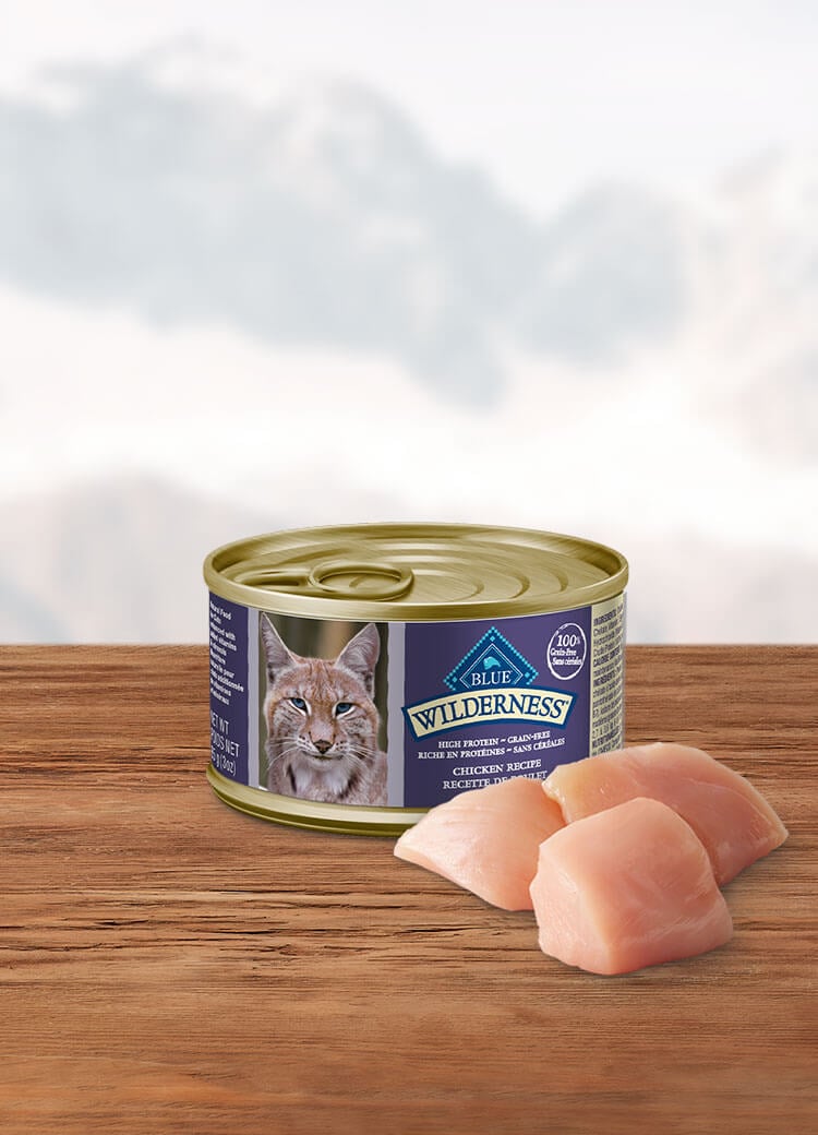 Canada Wild chicken adult wet cat food