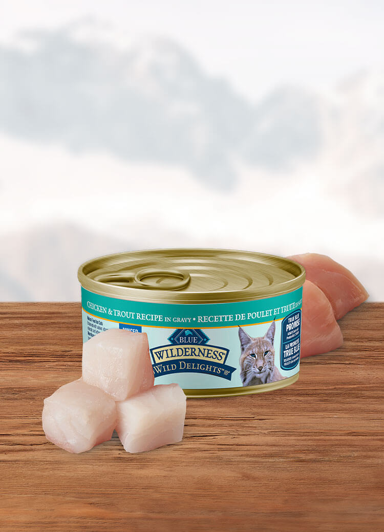 Canada WildDelights chicken and trout minced adult wet cat food