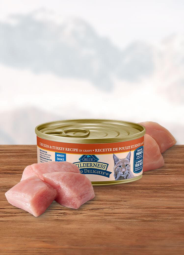 Canada WildDelights chicken and turkey minced adult wet cat food