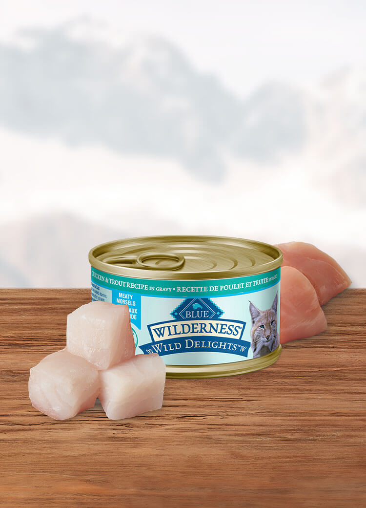 Canada WildDelights chicken and trout morsels adult wet cat food