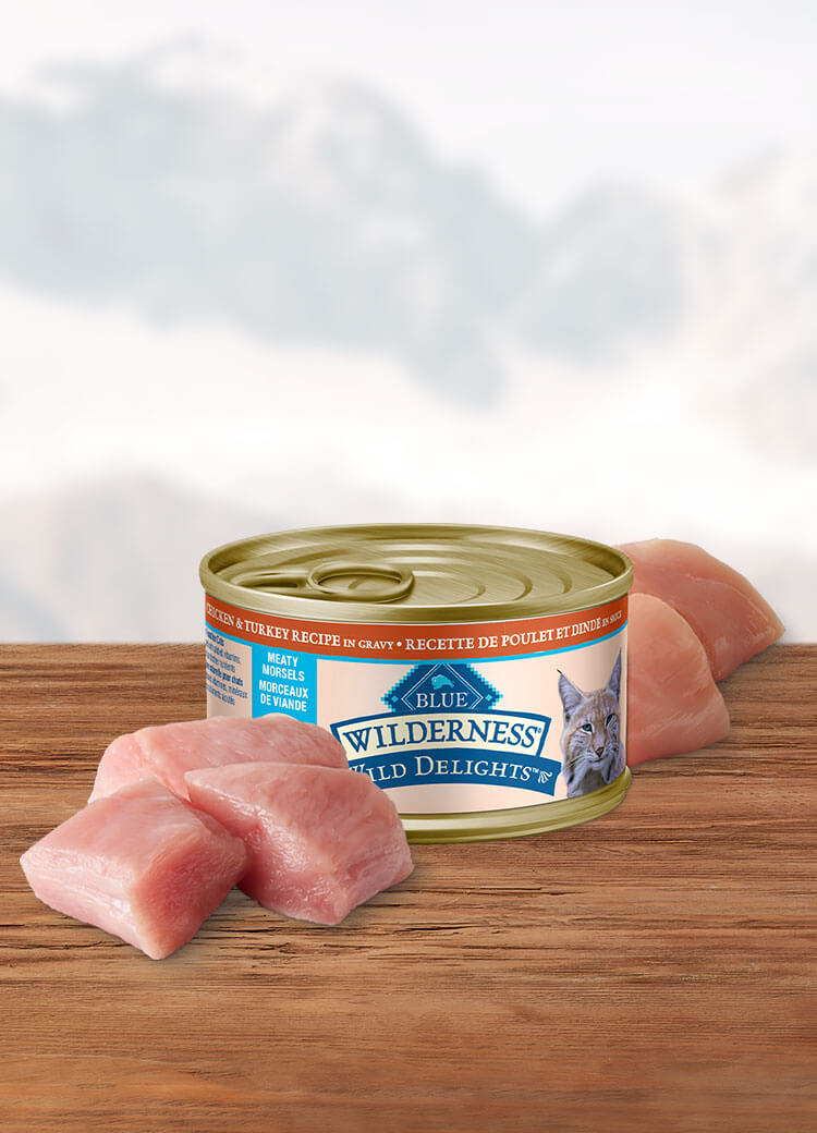 Canada WildDelights chicken and turkey morsels adult wet cat food