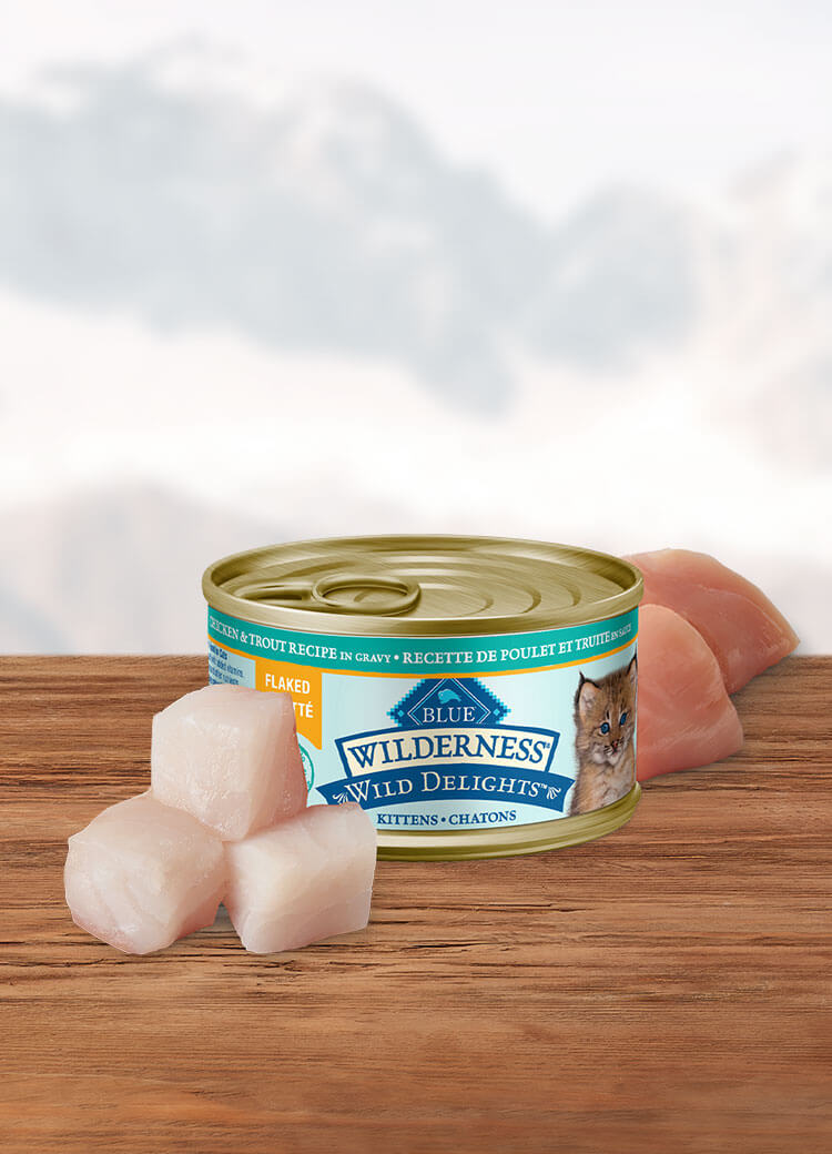 Canada WildDelights chicken and trout flaked kitten wet cat food
