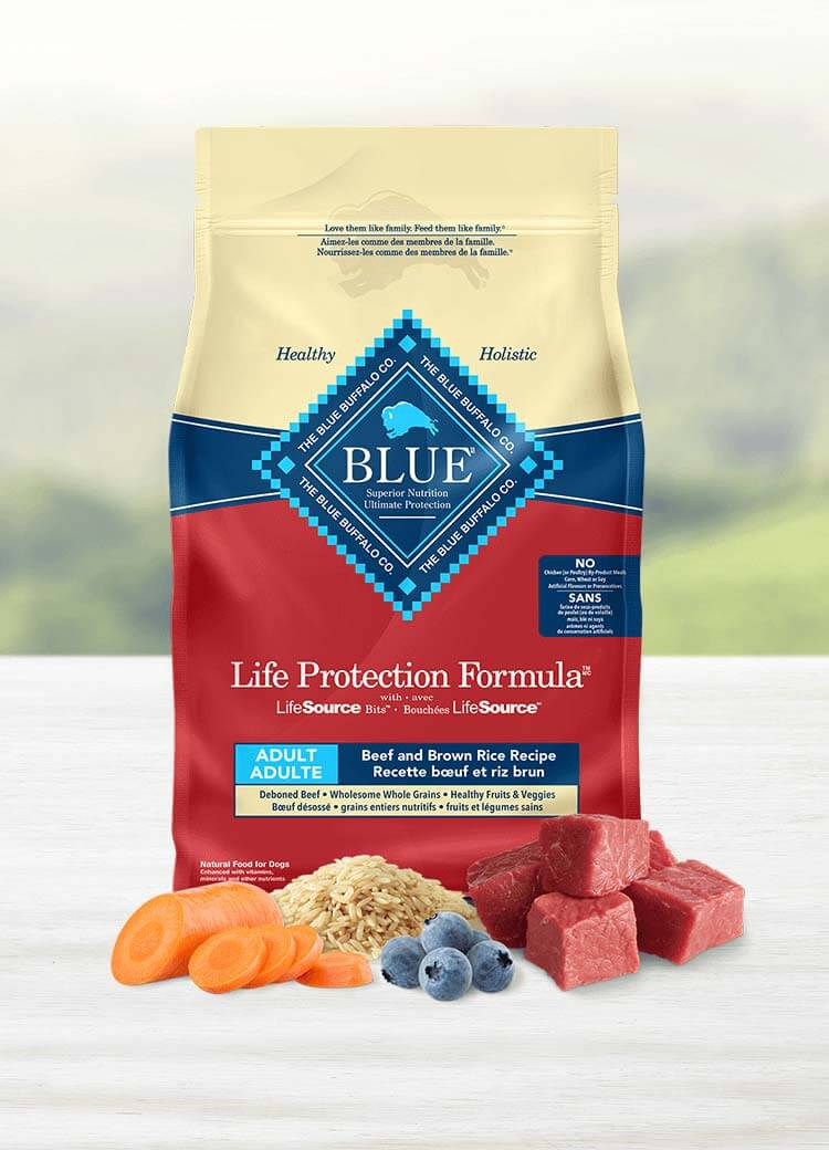 blue buffalo life protection formula dog food