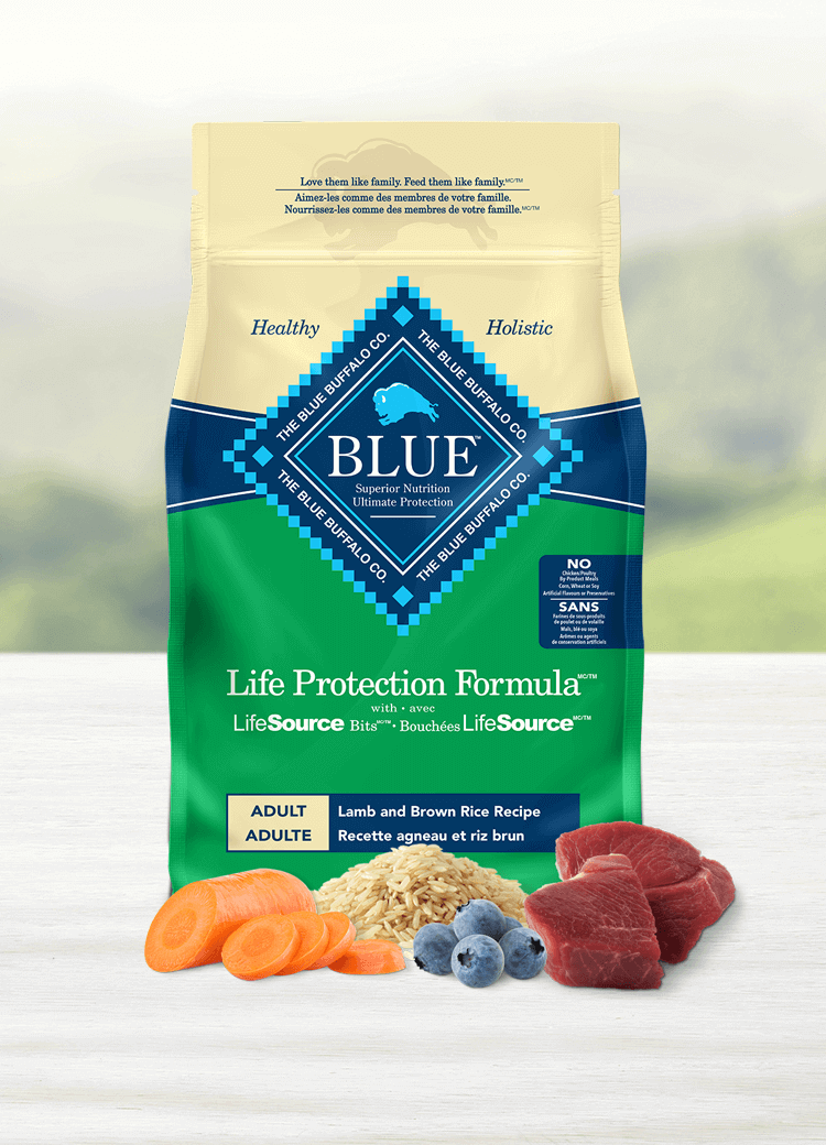Canada LPF adult lamb and brown rice dry dog food