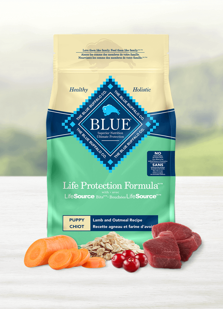 life protection formula puppy lamb and oatmeal dry dog food