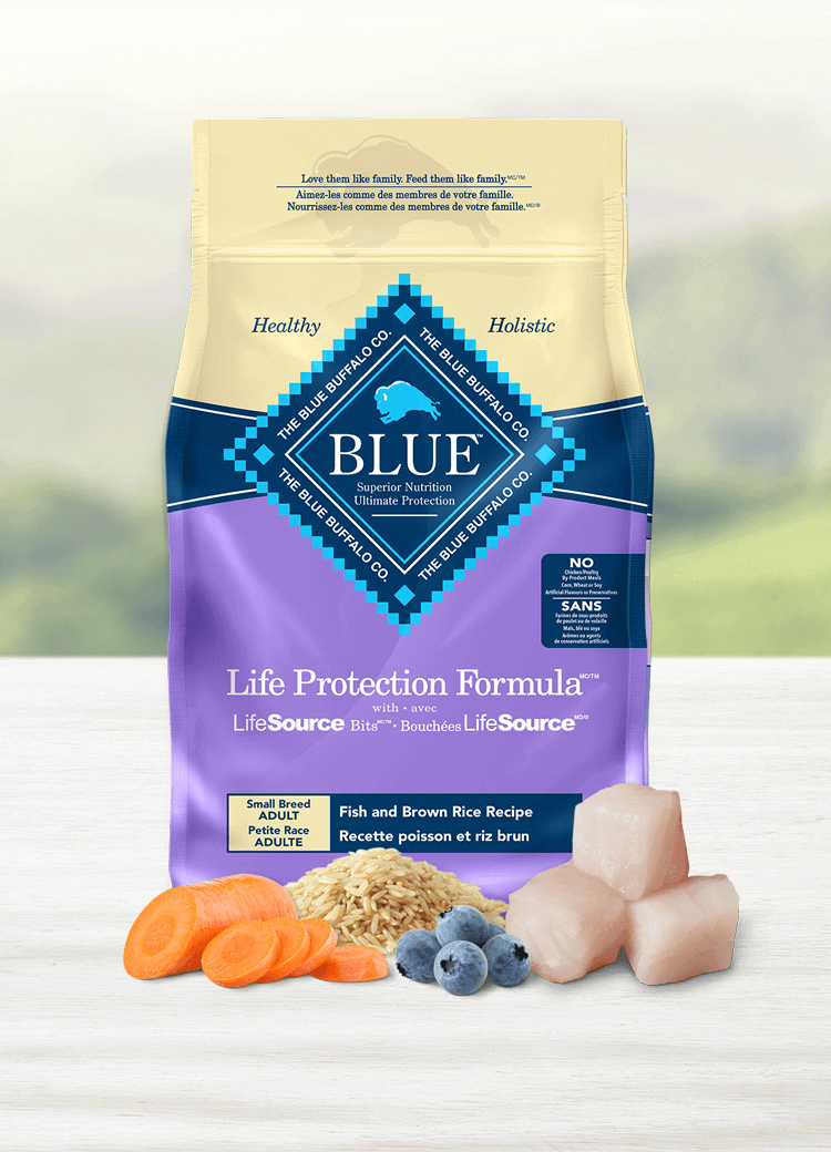 Canada LPF small breed adult dry dog food fish and brown brown rice