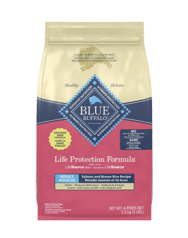 A bag of BLUE Life Protection Formula dry dog food salmon and brown rice recipe.