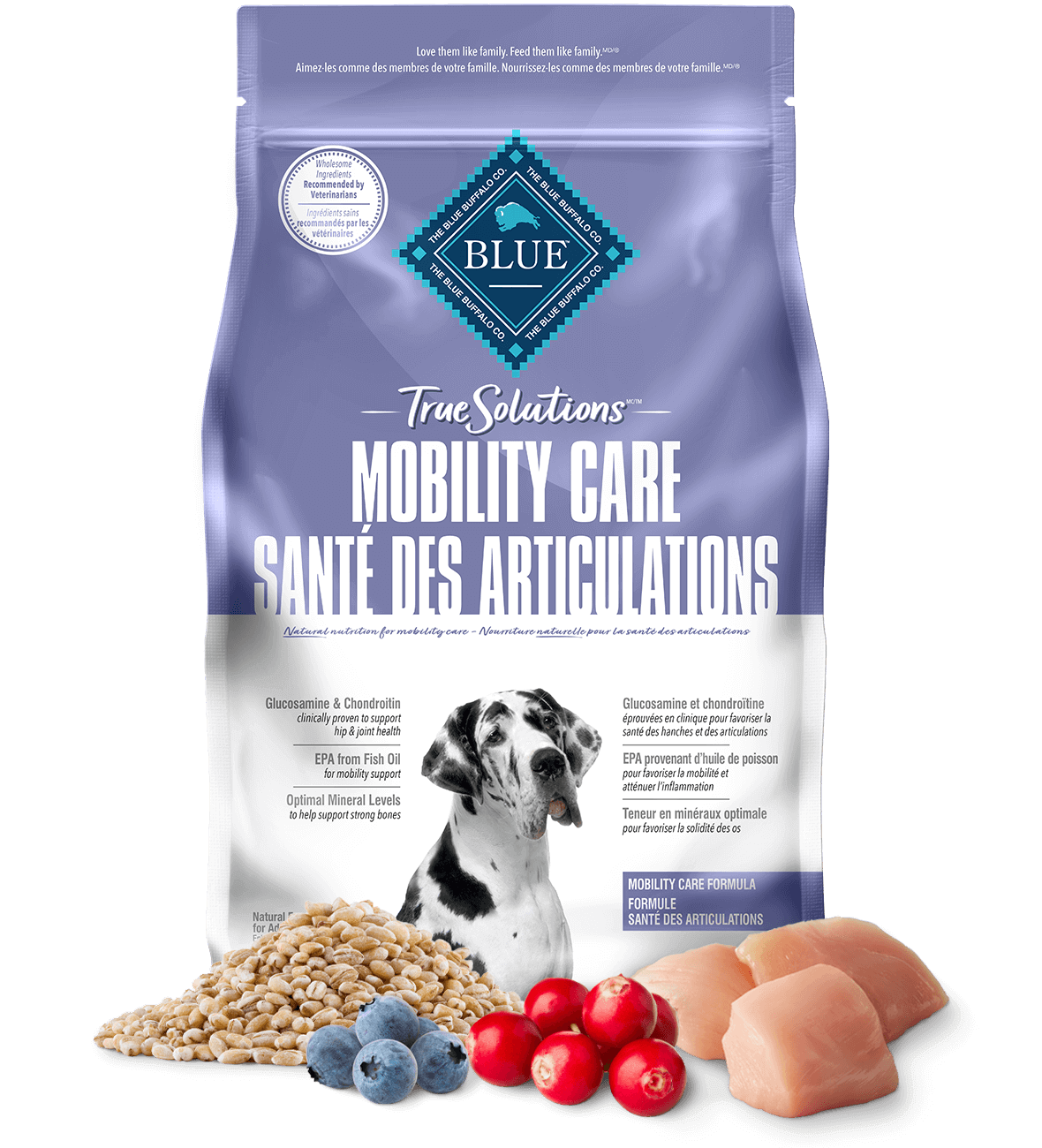 Dog_Dr dry dry food