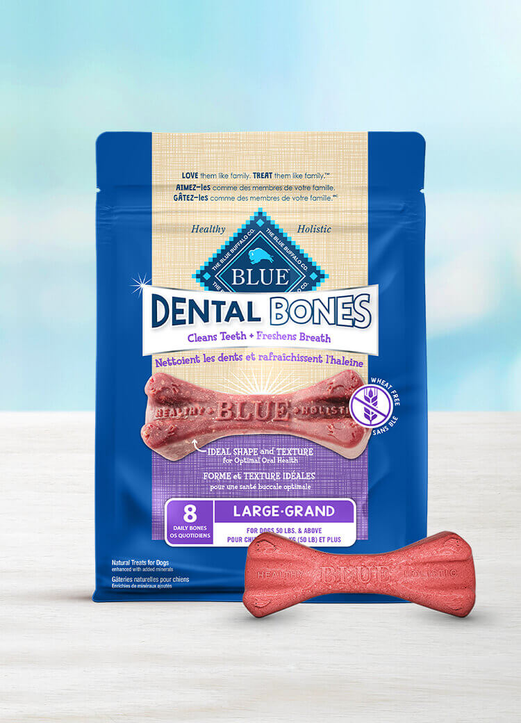 Canada LPF Dental Bones large dog treats