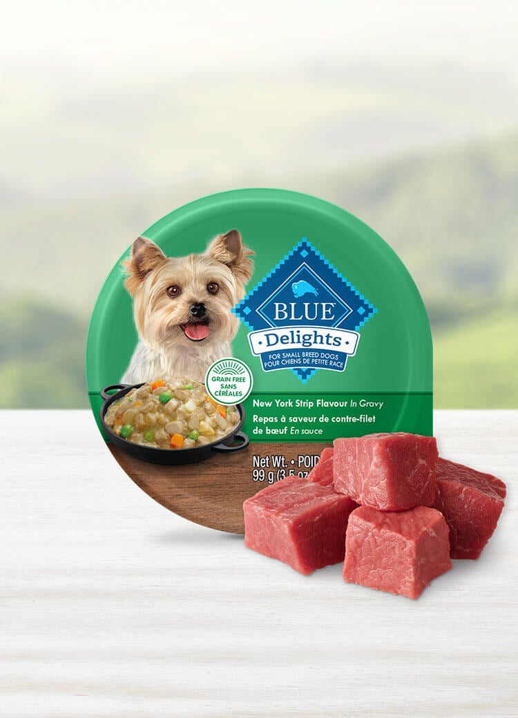 Canada LPF BlueDelights new york strip gravy adult wet dog food