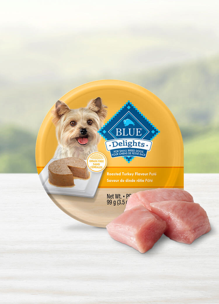Canada LPF BlueDelights roast turkey pate adult wet dog food