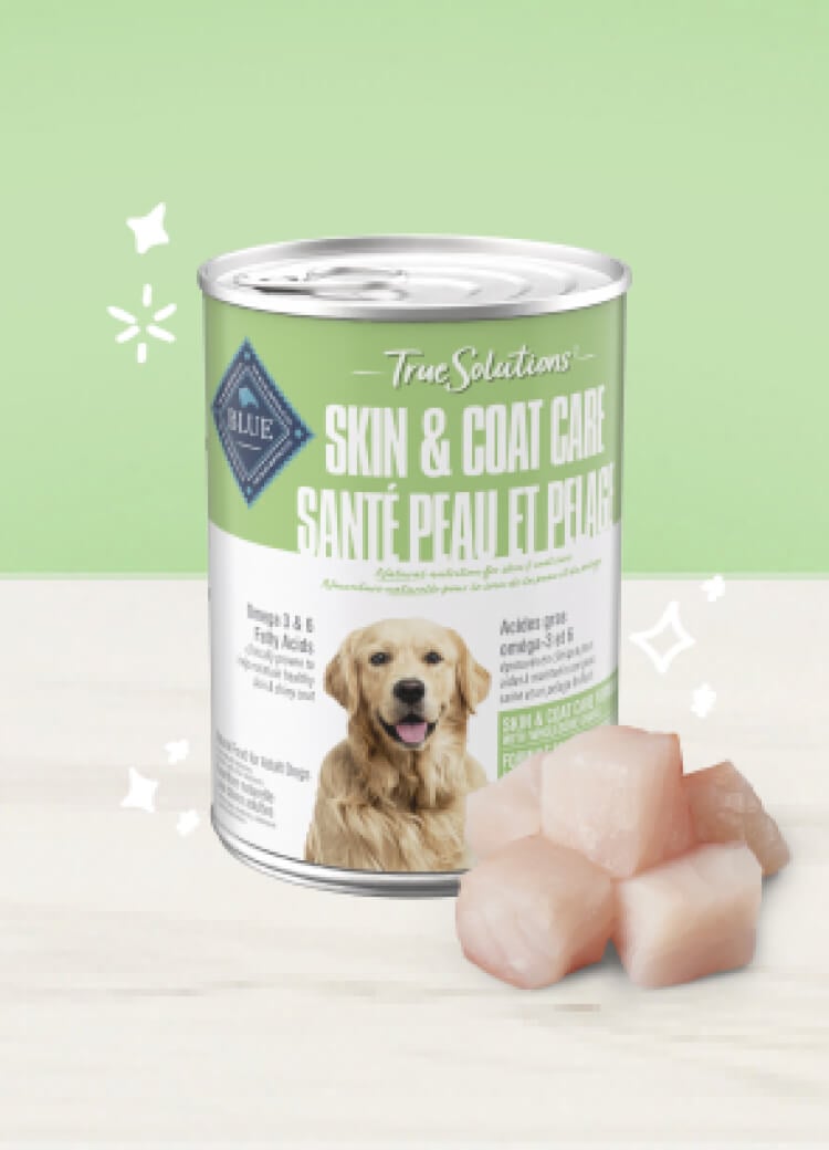 True Solutions Wet Dog Skin Coat Care