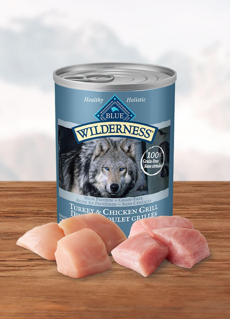 Canada Wilderness turkey and chicken adult canned wet dog food