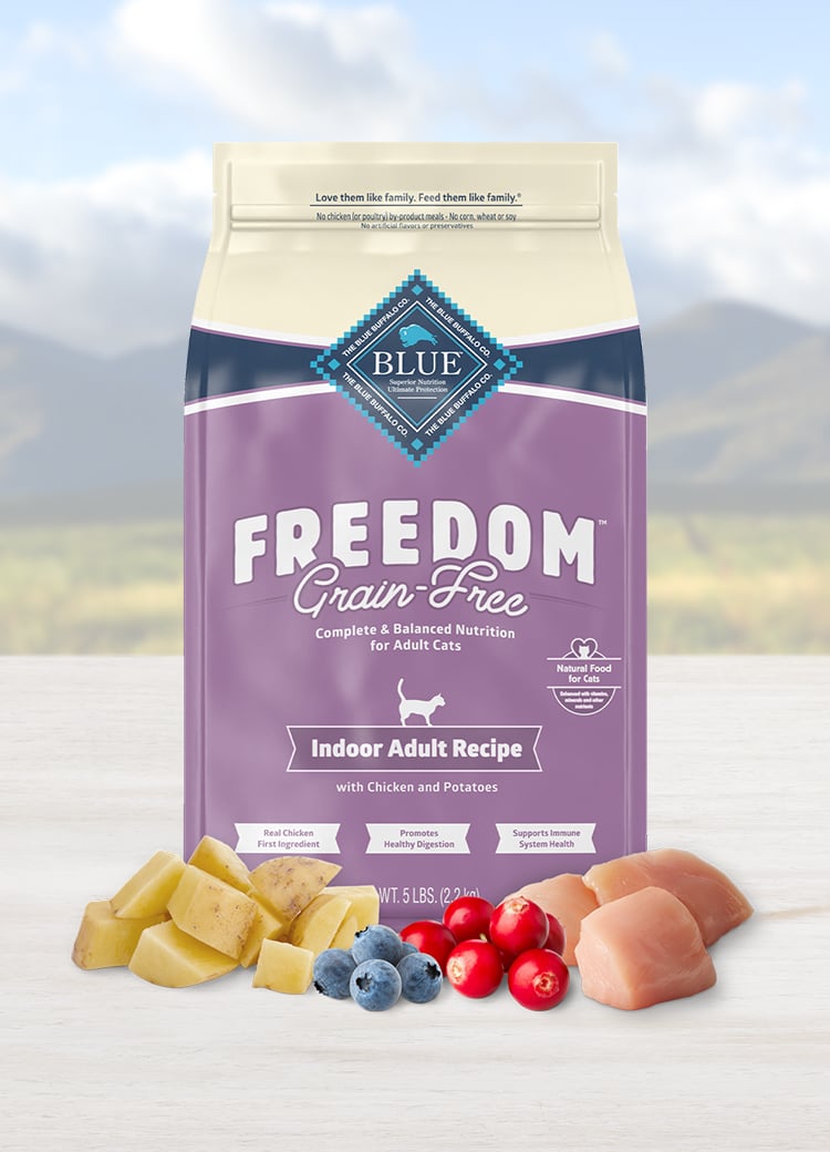 Dry bag of cat food