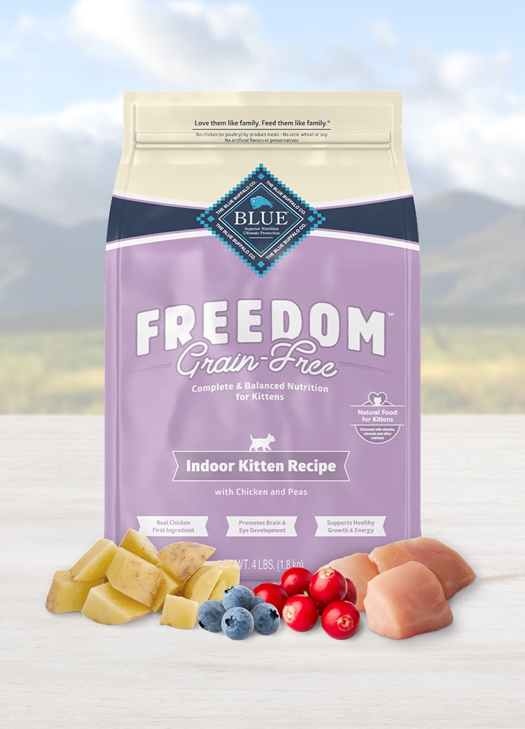Dry bag of cat food
