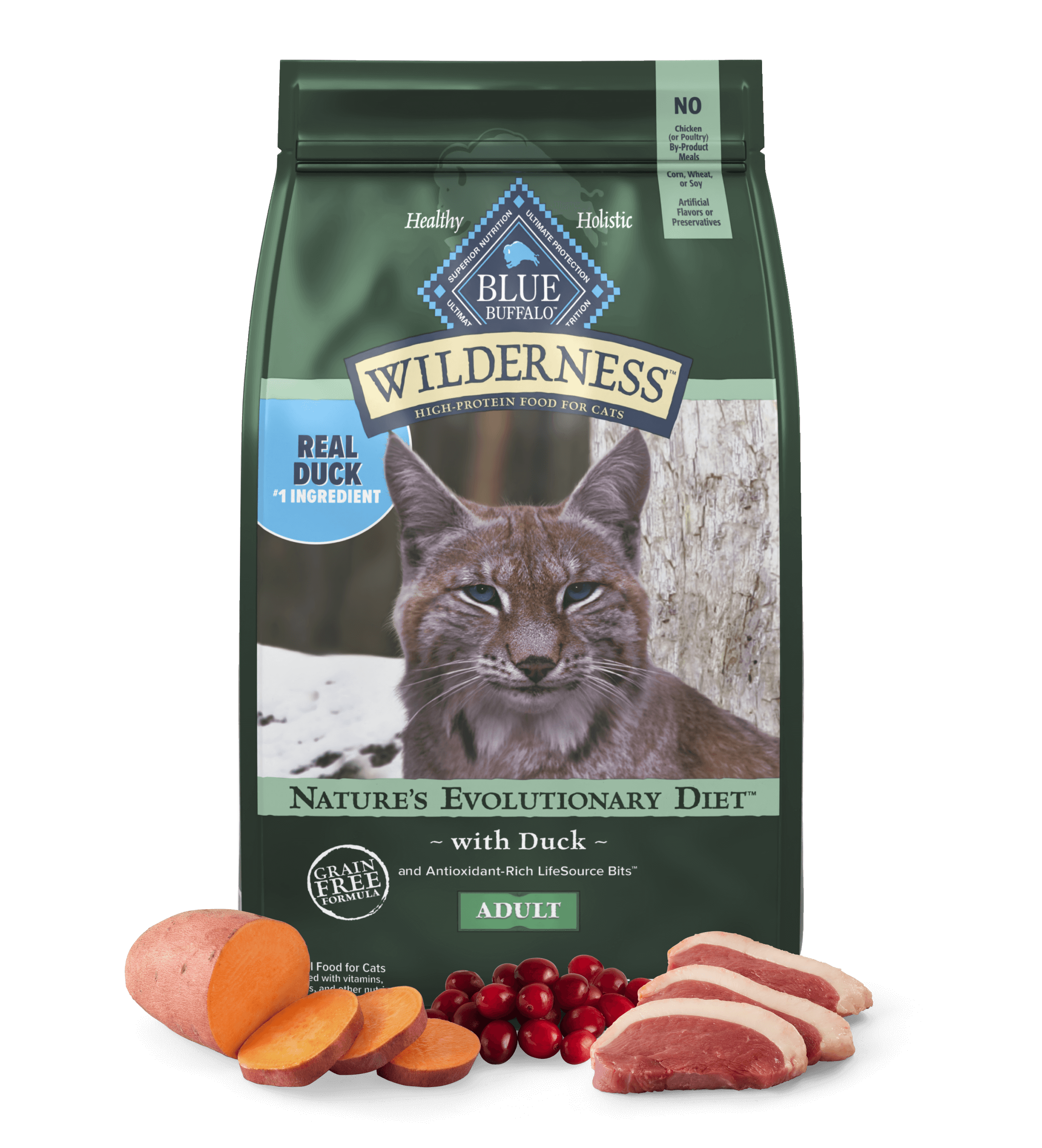 Blue Wilderness Adult Cat Duck Dry Cat Food