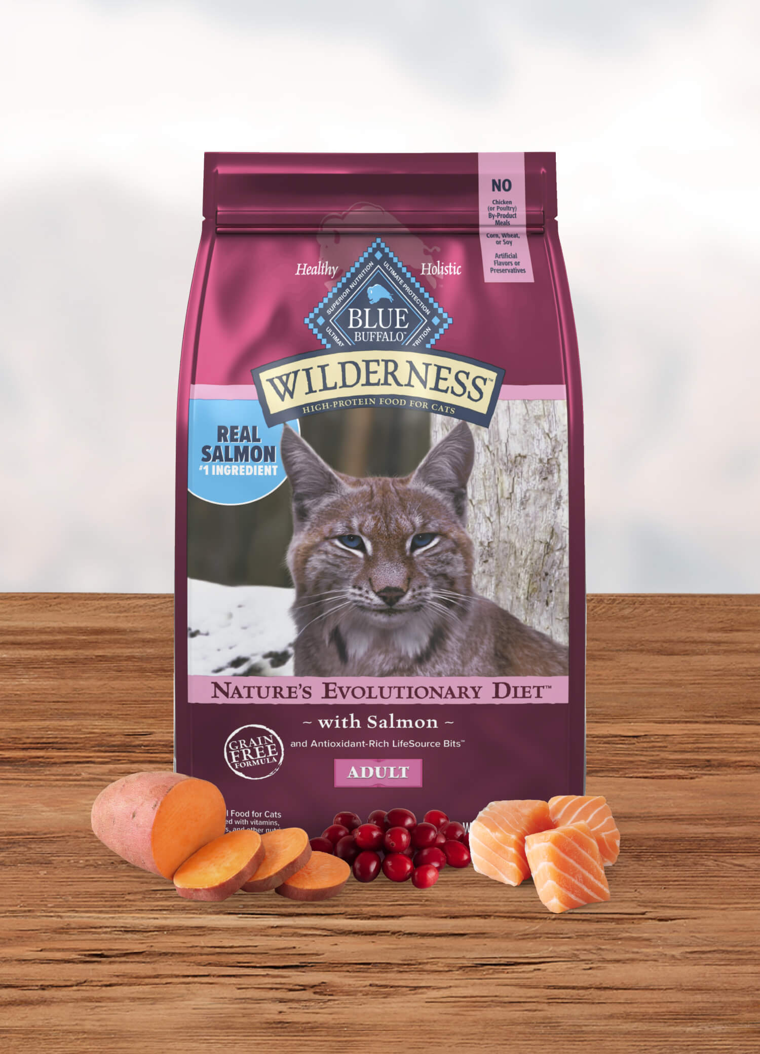 Blue Wilderness Adult Cat Salmon Dry Cat Food