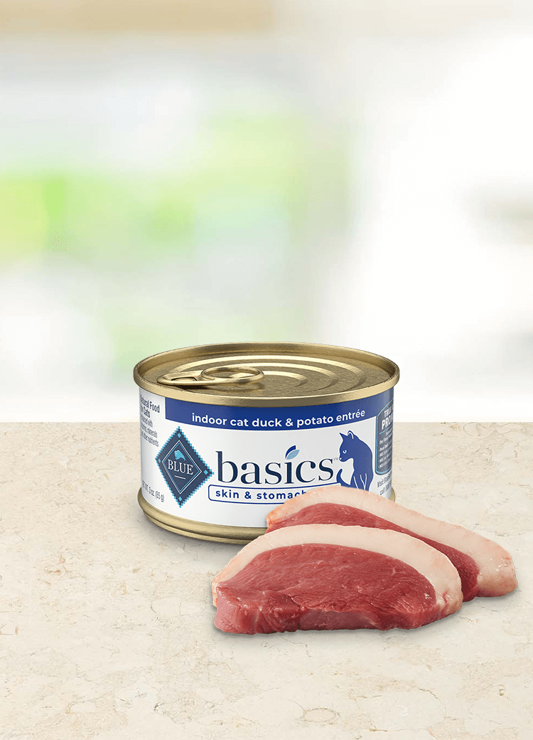 Basics wet cat food