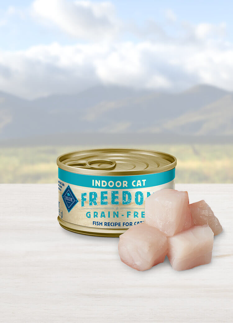 Can of wet cat food