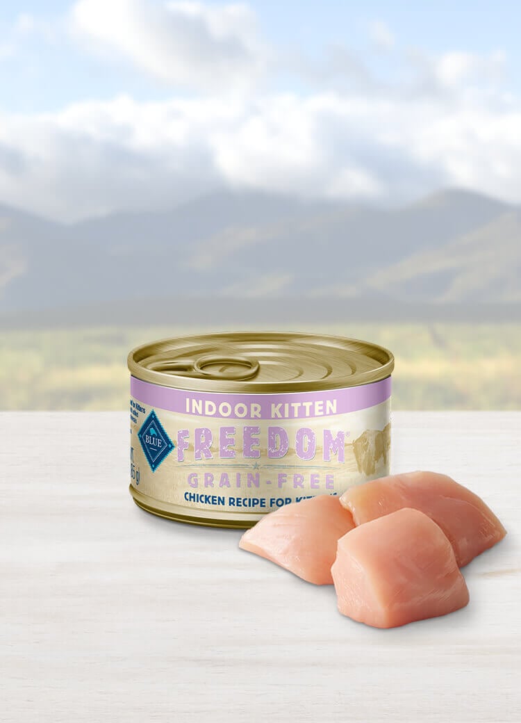 Can of wet cat food
