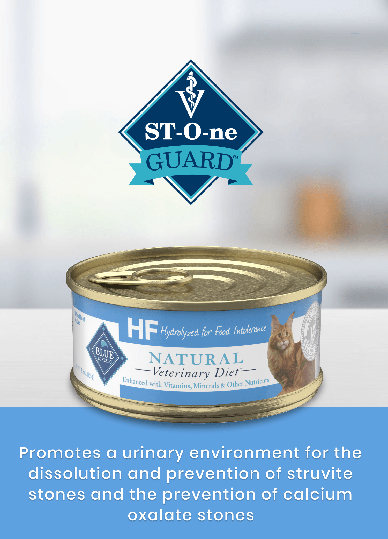 A can of Natural Veterinary Diet cat food for urinary health rests on a counter with product details.