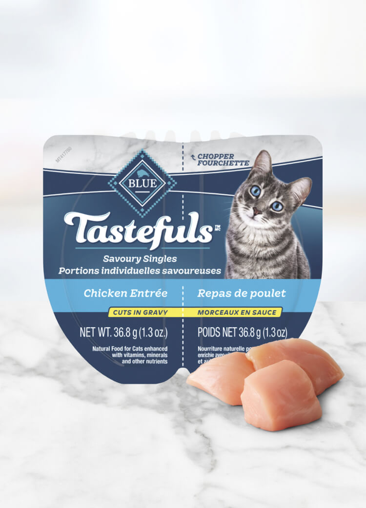 Can of wet cat food