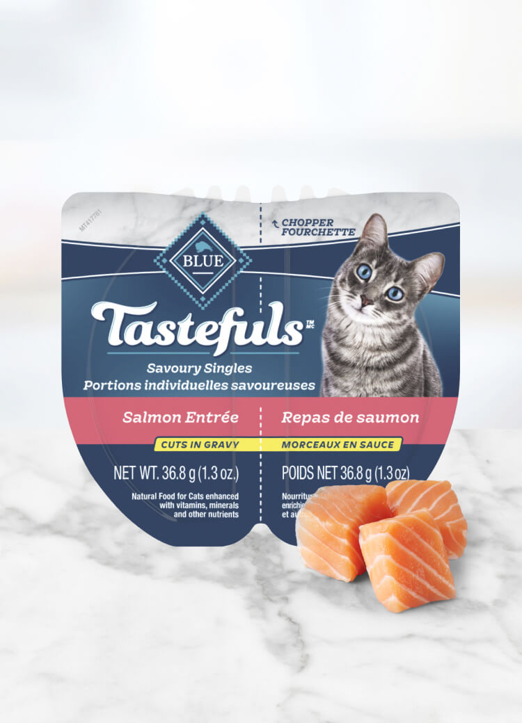 Can of wet cat food