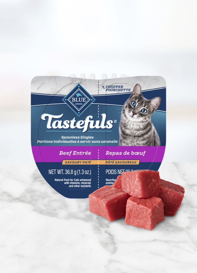 Can of wet cat food
