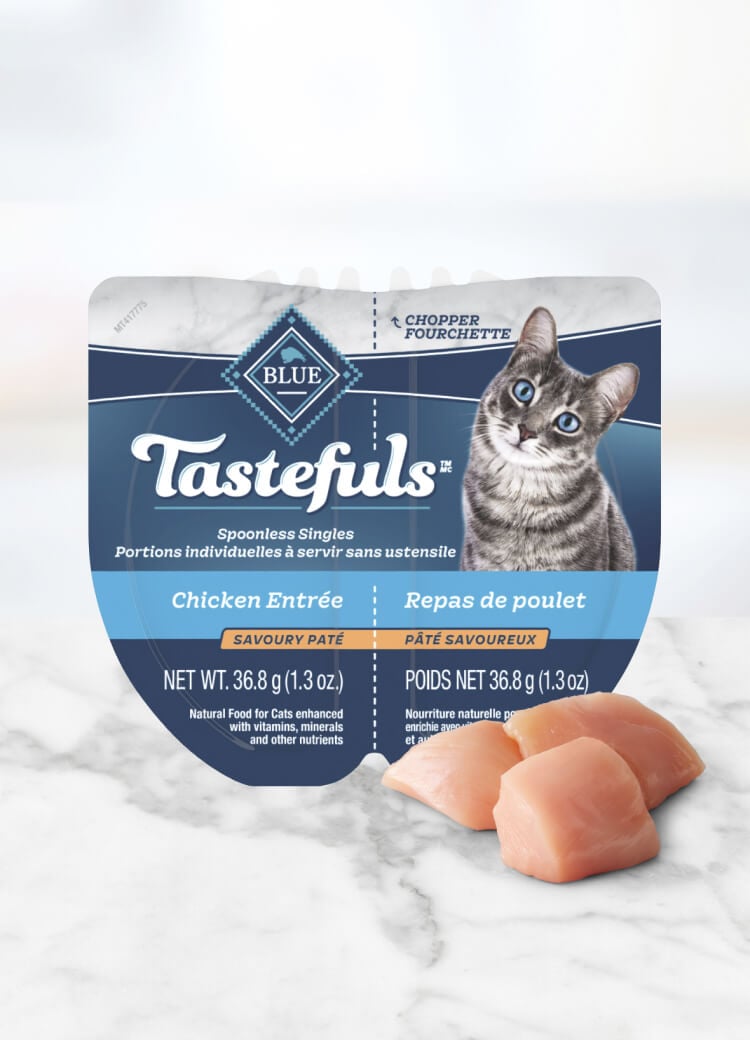Can of wet cat food