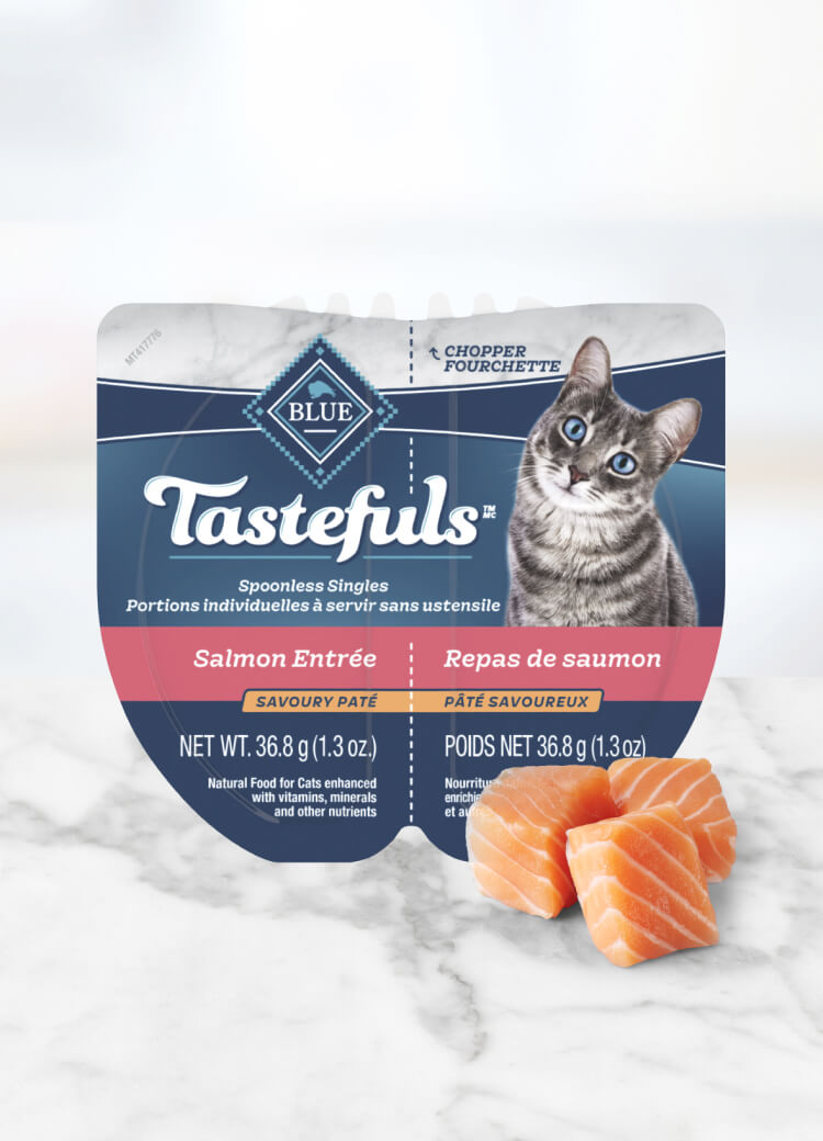 Can of wet cat food