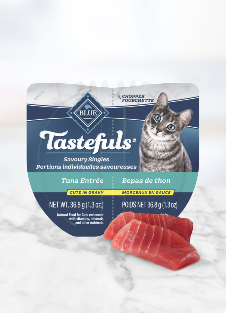 blue tastefuls savoury singles thon morceaux en sauce chat nourriture humide