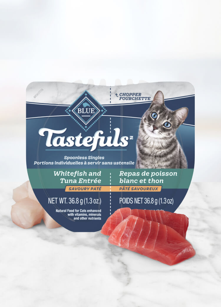 Can of wet cat food