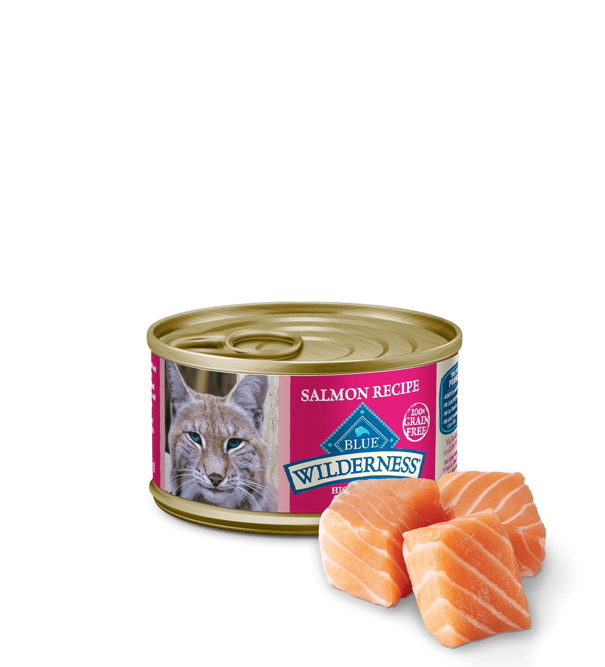 Can of wet cat food