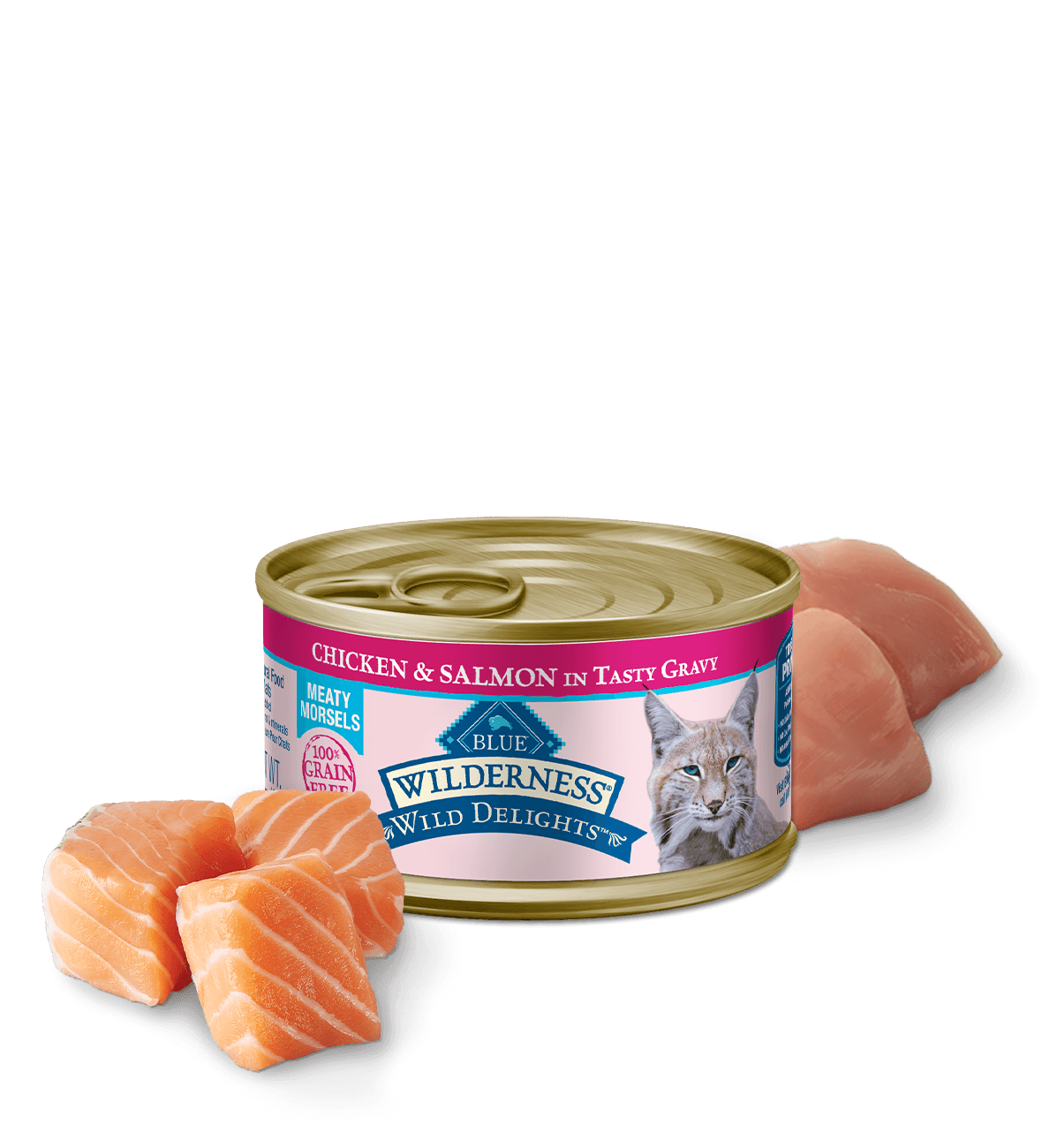 Pouch of wet cat food