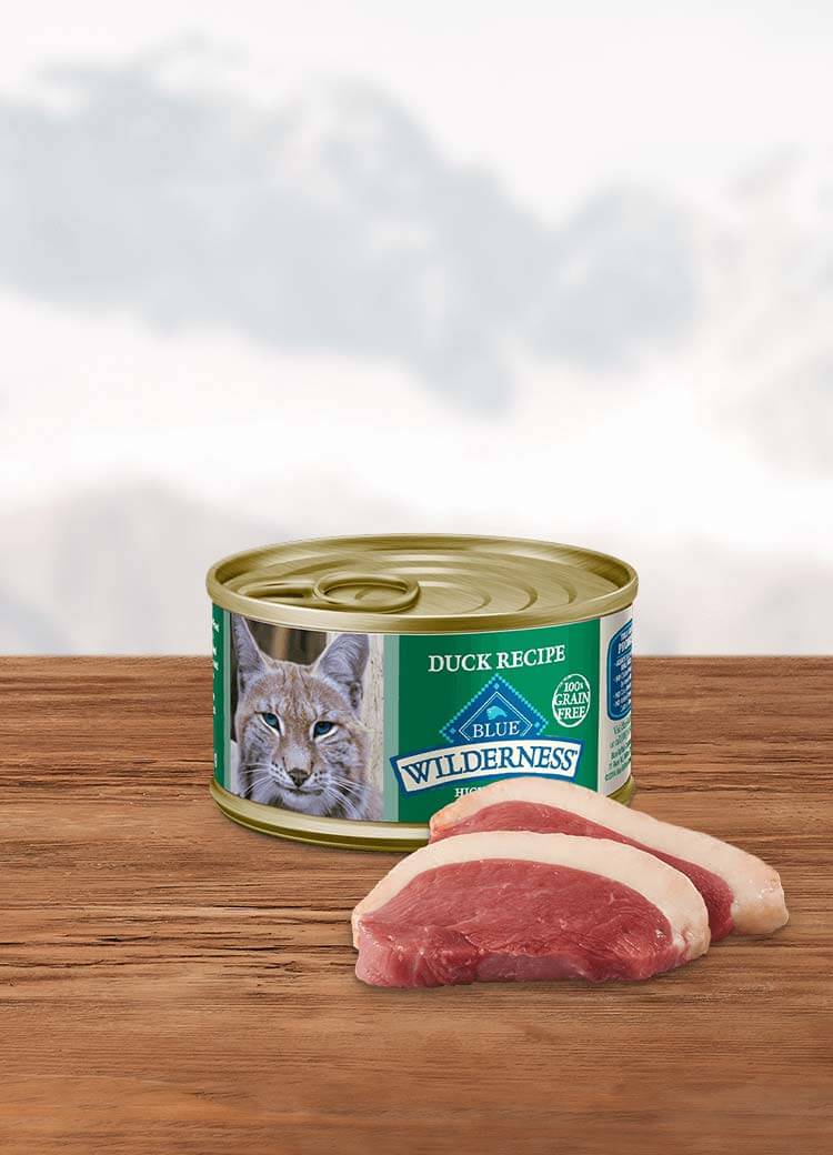 Can of wet cat food