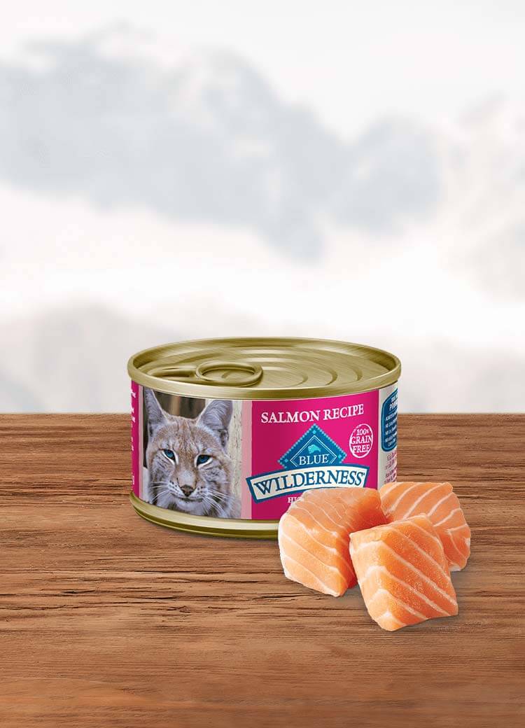 Can of wet cat food