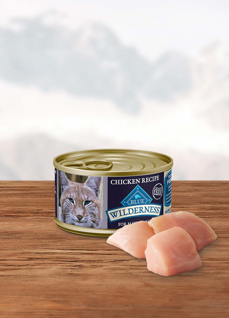 Can of wet cat food
