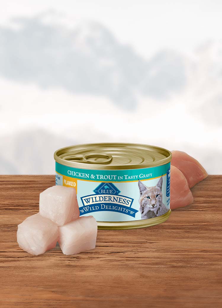 Can of wet cat food