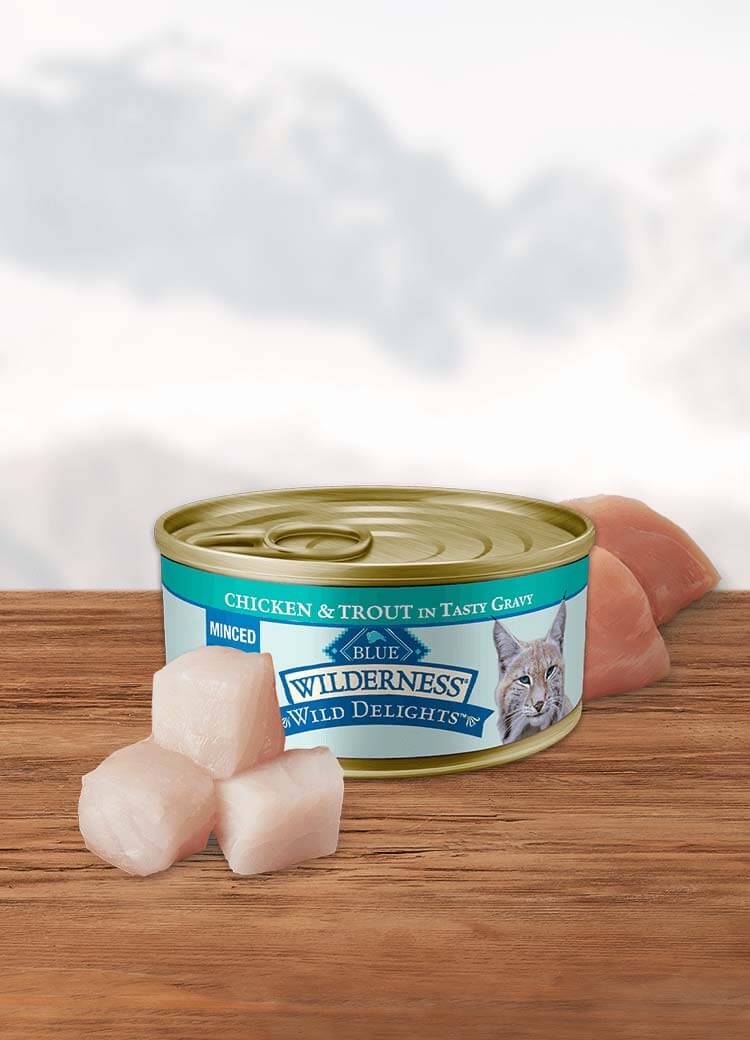 Can of wet cat food