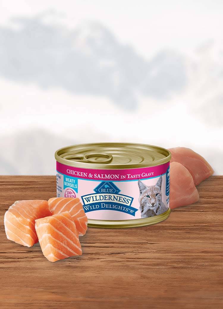 Can of wet cat food