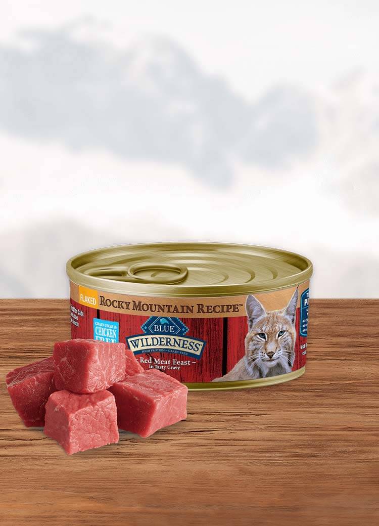 Can of wet cat food