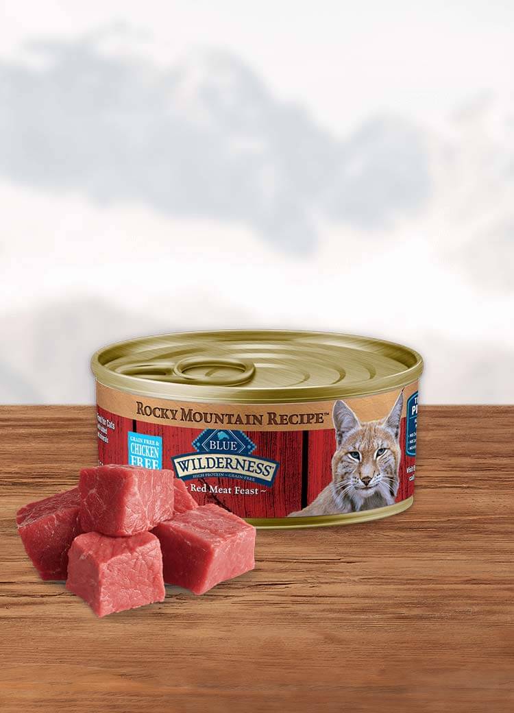 Can of wet cat food