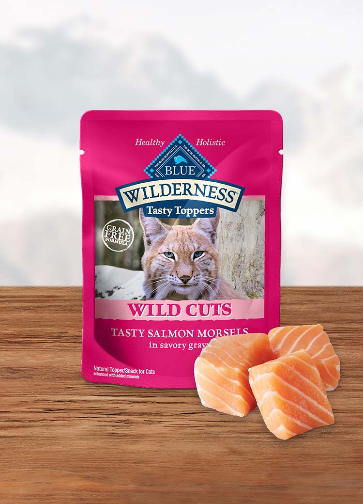 Pouch of wet cat food